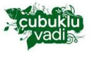 Çubuklu Vadi